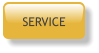 SERVICE
